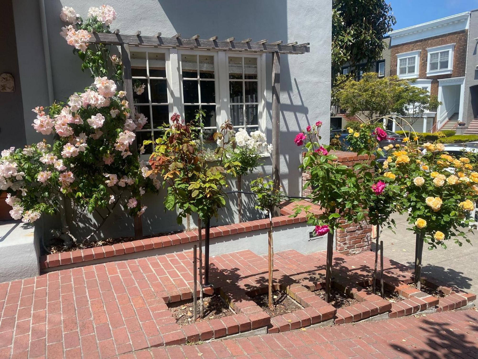 My Rosegarden Guest Rooms San Francisco Exterior foto